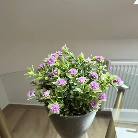 Family Zemlinsi 2 Apartman Payerbach