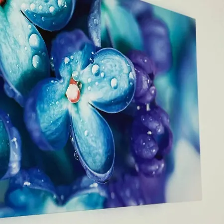 Apartman Family Zemlinsi 2 Payerbach