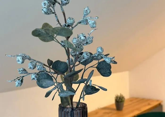 Family Zemlinsi 2 Apartman